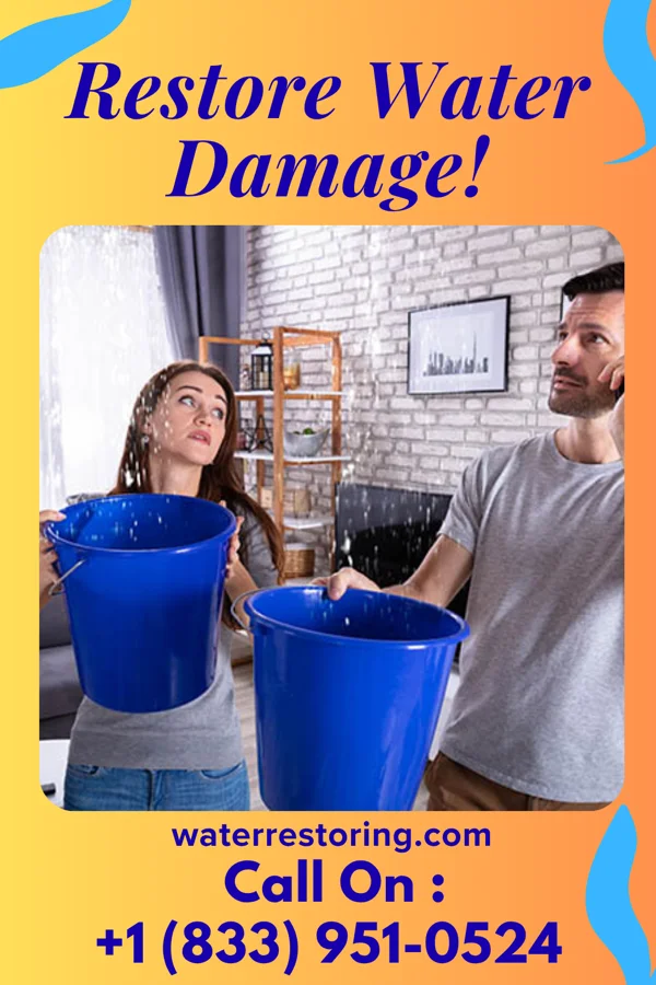 water restoration Extraction Authority Springbrook